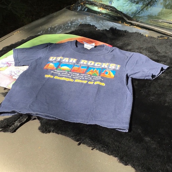 Utah Rocks The Geologic Story of Utah Blue SS Tee Youth S 6-8 Zion Bryce Canyon - Picture 3 of 10